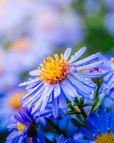 jeremias siehr naturephotography potsdam-5067