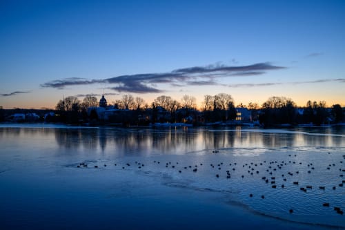jeremias siehr naturephotography potsdam-7269