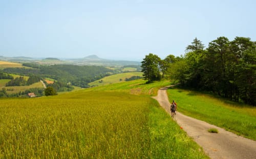 bargen schaffhausen jeremias siehr-2