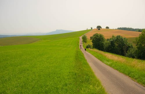 bargen schaffhausen jeremias siehr-5