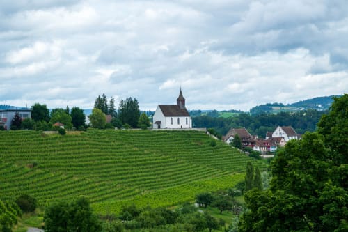 rehinfall schaffhausen jeremias siehr-1