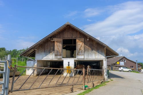 rheinfall schaffhausen jeremias siehr-1