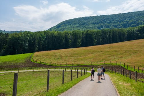 rheinfall schaffhausen jeremias siehr-2