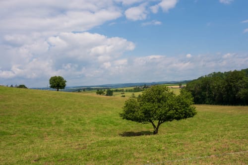 rheinfall schaffhausen jeremias siehr-3