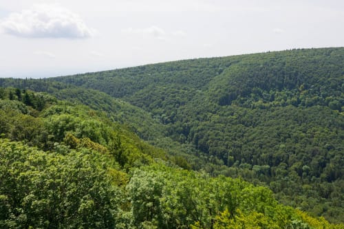 rheinfall schaffhausen jeremias siehr-8