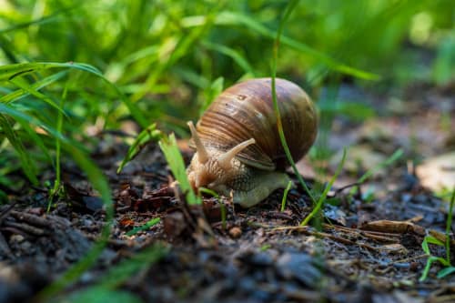 rheinfall schaffhausen jeremias siehr-9