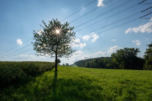 schloss hohentupfe stuehlingen jeremias siehr-9
